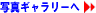 画像ギャラリーへ